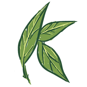 Kats Botanicals US
